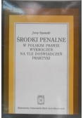 Środki penalne w polskim prawie wkroczeń na tle doświadczeń praktyki