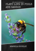 Plant Life in Field and Garden