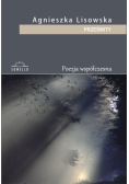Prześwity