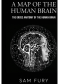 A Map of the Human Brain
