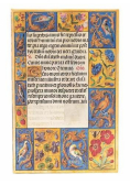 Kalendarz 2025 Spinola Hours Maxi tygodniowy VER