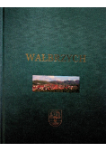 Wałbrzych