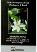 Aromaterapia w gabinecie kosmetycznym ośrodku odnowy biologicznej Wellness i spa
