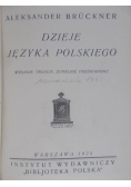 Dzieje języka polskiego, 1925 r.