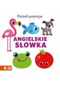Maluch poznaje Angielskie słówka