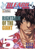 Bleach Tom 5
