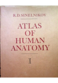 Atlas de Anatomia Humana Tom I