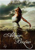 Aleja Bzów