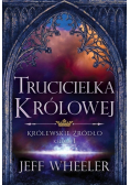 Trucicielka królowej Królewskie Źródło Księga 1
