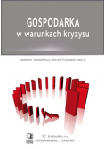 Gospodarka w warunkach kryzysu