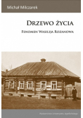 Drzewo życia