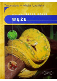 Węże