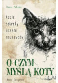 O czym myślą koty Kocie sekrety oczami naukowców