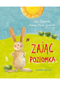 Zając Poziomka
