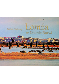 Łomża w Dolinie Narwi
