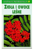 Zioła i owoce leśne