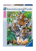 Puzzle 1000 Rodzina tygrysów
