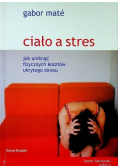 Ciało a stres Jak uniknąć fizycznych kosztów ukrytego stresu