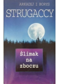 Ślimak na zboczu