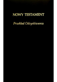 Nowy Testament Przekład Odzyskiwania