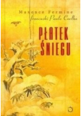 Płatek Śniegu