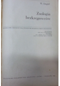 Zoologia bezkręgowców
