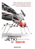 Zobaczyć jętki o świcie