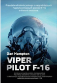 Viper Pilot F - 16