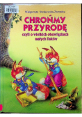 Chrońmy przyrodę czyli o wielkich obowiązkach  małych lisków