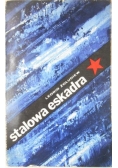 Stalowa eskadra