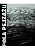 Pola pejzażu