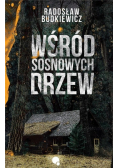 Wśród sosnowych drzew