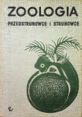 Zoologia przedstrunowce i strunowce