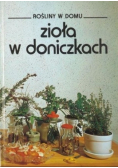 Rośliny w domu Zioła w doniczkach