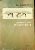 Dziurawy kajak i Boże miłosierdzie