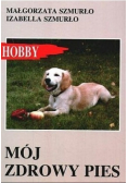 Mój zdrowy pies