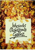 Okudżawa Galicz Wiersze i ballady