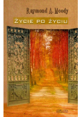 Życie po życiu