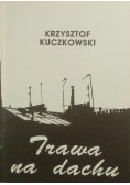 Trawa na dachu