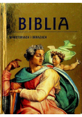 Biblia w historiach i obrazach