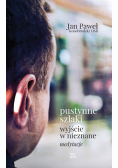 Pustynne szlaki Wyjście w nieznane