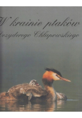 W krainie ptaków Dezyderego Chłapowskiego