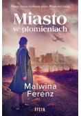 Miasto w płomieniach
