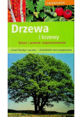 Drzewa i krzewy