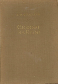 Chłopi na Rusi