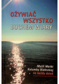 Ożywiać wszystko duchem wiary
