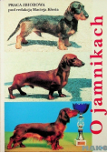 O jamnikach
