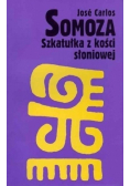 Szkatułka z kości słoniowej