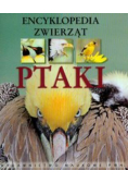 Encyklopedia zwierząt Ptaki