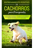 Entrenamiento Positivo De Cachorros Para Principiantes